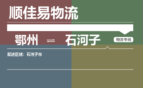 鄂州到石河子专线-鄂州到石河子物流专线价格-鄂州到石河子物流公司