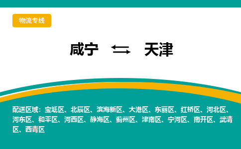 咸宁到天津物流公司-咸宁至天津专线-全境/直送 咸宁到天津物流公司-咸宁至天津专线-全境/直送