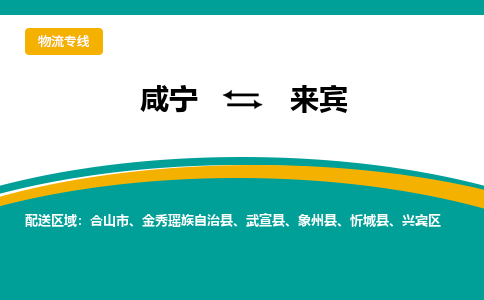 咸宁到来宾物流公司-咸宁至来宾专线-全境/直送