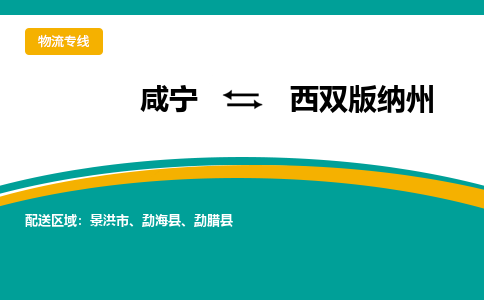 咸宁到西双版纳州物流公司-咸宁至西双版纳州专线-全境/直送 咸宁到西双版纳州物流公司-咸宁至西双版纳州专线-全境/直送