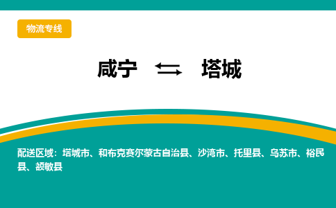 咸宁到塔城物流公司-咸宁至塔城专线-全境/直送 咸宁到塔城物流公司-咸宁至塔城专线-全境/直送