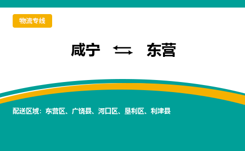 咸宁到东营物流公司-咸宁至东营专线-全境/直送 咸宁到东营物流公司-咸宁至东营专线-全境/直送