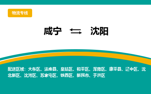 咸宁到沈阳物流公司-咸宁至沈阳专线-全境/直送 咸宁到沈阳物流公司-咸宁至沈阳专线-全境/直送