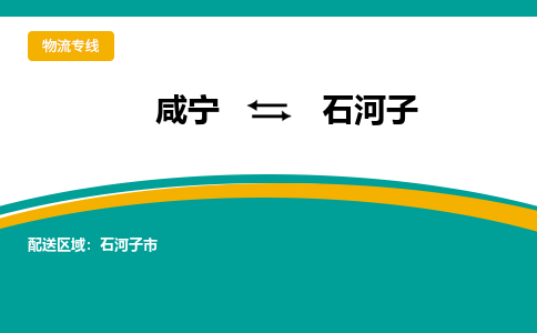 咸宁到石河子物流公司-咸宁至石河子专线-全境/直送 咸宁到石河子物流公司-咸宁至石河子专线-全境/直送