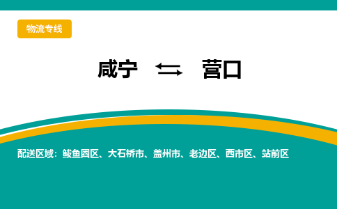 咸宁到营口物流公司-咸宁至营口专线-全境/直送 咸宁到营口物流公司-咸宁至营口专线-全境/直送