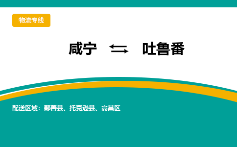 咸宁到吐鲁番物流公司-咸宁至吐鲁番专线-全境/直送 咸宁到吐鲁番物流公司-咸宁至吐鲁番专线-全境/直送