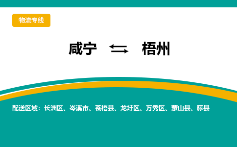 咸宁到梧州物流公司-咸宁至梧州专线-全境/直送 咸宁到梧州物流公司-咸宁至梧州专线-全境/直送