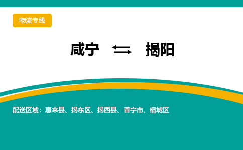 咸宁到揭阳物流公司-咸宁至揭阳专线-全境/直送 咸宁到揭阳物流公司-咸宁至揭阳专线-全境/直送