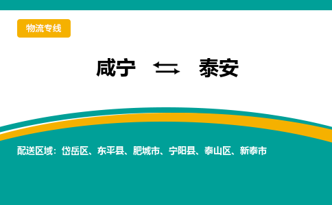 咸宁到泰安物流公司-咸宁至泰安专线-全境/直送 咸宁到泰安物流公司-咸宁至泰安专线-全境/直送