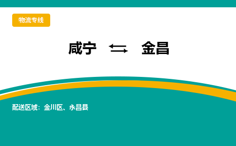 咸宁到金昌物流公司-咸宁至金昌专线-全境/直送 咸宁到金昌物流公司-咸宁至金昌专线-全境/直送