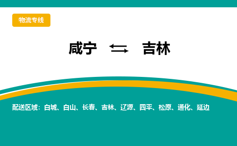 咸宁到吉林物流公司-咸宁至吉林专线-全境/直送 咸宁到吉林物流公司-咸宁至吉林专线-全境/直送