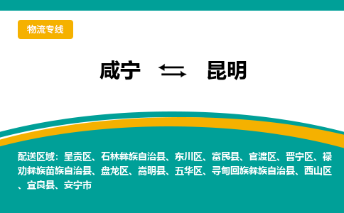 咸宁到昆明物流公司-咸宁至昆明专线-全境/直送 咸宁到昆明物流公司-咸宁至昆明专线-全境/直送