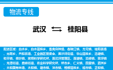 武汉到桂阳县物流专线-物流公司直达- 武汉到桂阳县物流专线-物流公司直达-