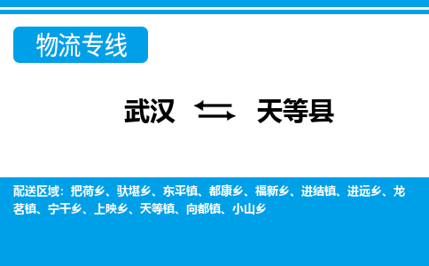 武汉到天等县物流专线-物流公司直达- 武汉到天等县物流专线-物流公司直达-